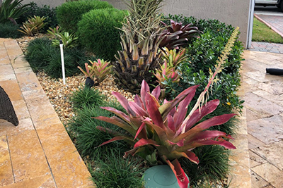 Landscape Design