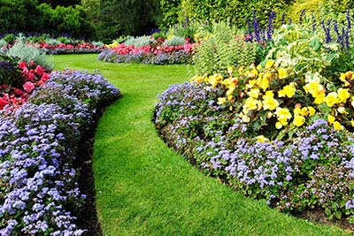 Gardening/Planting