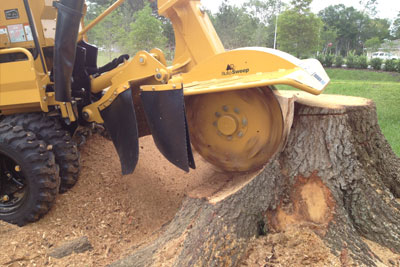 Stump Removal